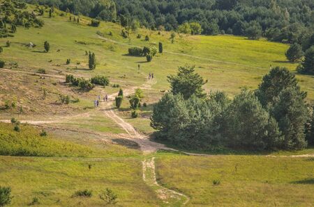 Beautiful summer landscape. Lovely paths between green grasses.の写真素材
