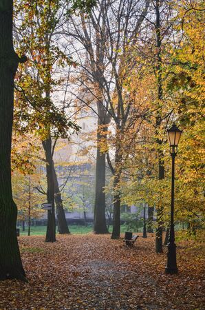 Beautiful autumn landscape. Colorful tree leaves in a city park.の写真素材