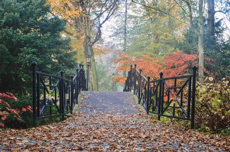 Colorful autumn landscape. Charming bridge among colorful trees in a park in Pszczyna, Poland.の写真素材