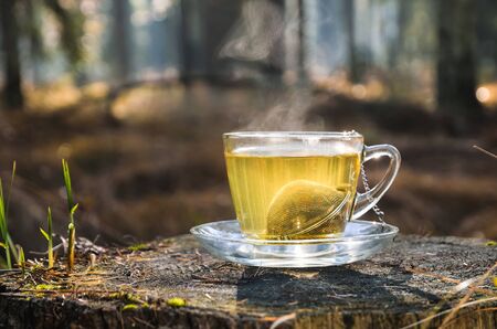 Interesting idea for an autumn drink. Tea with turmeric on a tree trunk in the forest.の写真素材