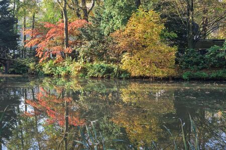 Beautiful autumn colorful landscape. Charming islet with colorful trees in the park by the pond.の写真素材