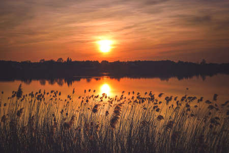 Orange sunrise on the lake. The sun and grass against the backdrop of the beautiful sky.の写真素材