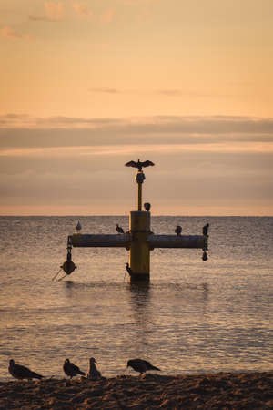 Colorful dreamlike morning by the sea. Beautiful sunrise over the Polish sea in Gydnia.の写真素材