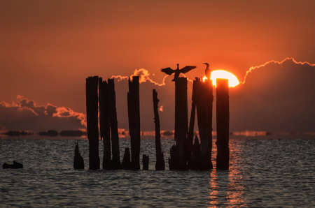 Beautiful evening seaside view. Wooden boles at the Polish seaside with the evening sun in the background.の写真素材