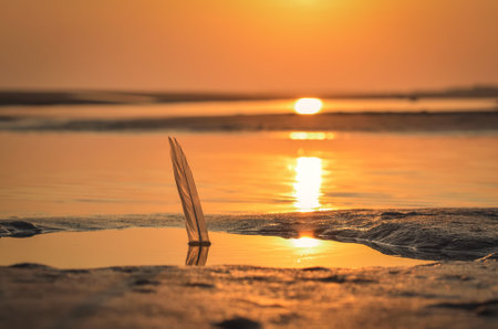 Beautiful sunrise over the sea. Feather reflecting in the water on a beach in Leba, Poland.の写真素材