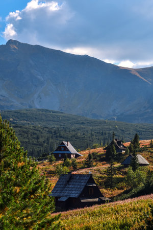 Beautiful mountain summer landscape. The famous Polish valley of Gasienicowa in the Tatra Mountains.の写真素材