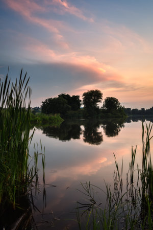 Beautiful summer landscape. Green grass on the shores of the lake with the sun going down.の写真素材