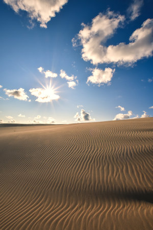 Beautiful summer holiday landscape. Moving dunes by the Polish Baltic Sea in a holiday setting.の写真素材
