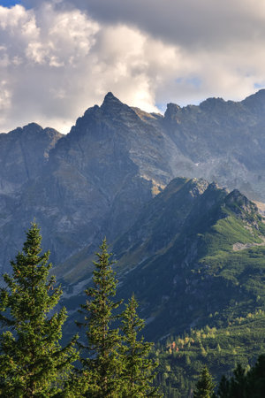 Beautiful summer landscape. Beautiful sunny day in the Polish Tatra Mountains.の写真素材
