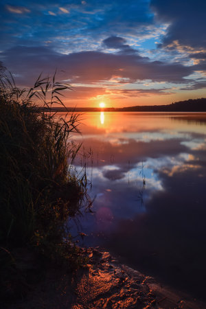 Sunrise on the lake. Green grass on the lakeside in the morning scenery.の写真素材