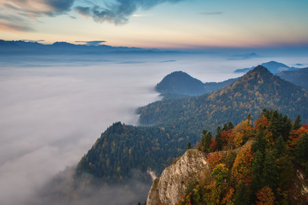 Beautiful autumn landscape. Colorful autumn trees on the slopes of the mountains covered with fog.の写真素材