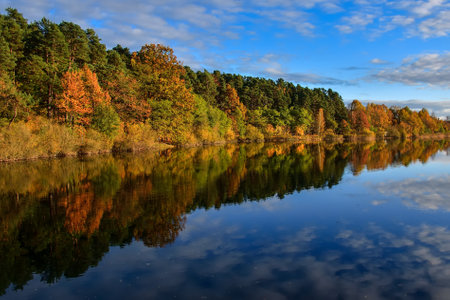 Autumn scene by the water. Colorful trees reflecting in a beautiful pond.の写真素材