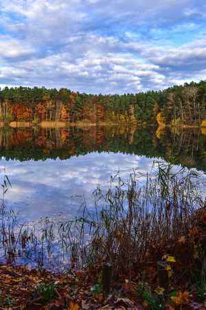Autumn scene by the water. Colorful trees reflecting in a beautiful pond.の写真素材