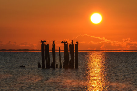 Beautiful evening seaside view. Wooden boles at the Polish seaside with the evening sun in the background.の写真素材