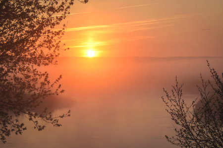 Beautiful colorful summer landscape. Morning nature concept for use as a background.の写真素材