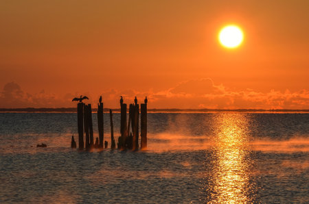 Beautiful morning seaside landscape. Birds on tree trunks over rippling water. Photo taken in Gdynia, Poland.の写真素材