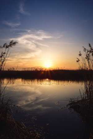 Beautiful summer landscape. Dry tree and grass reflecting in the river.の写真素材
