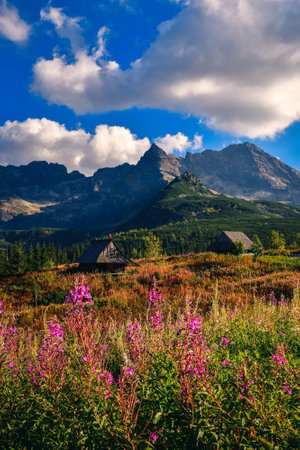 Beautiful mountain summer landscape. The famous Polish valley of Gasienicowa in the Tatra Mountains.の写真素材