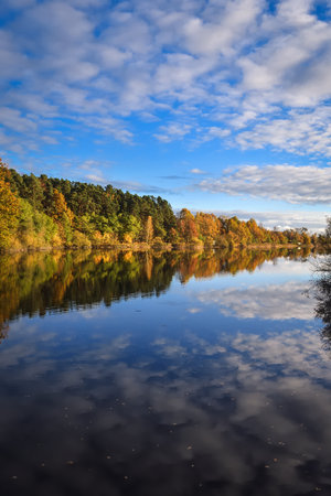 Autumn scene by the water. Colorful trees reflecting in a beautiful pond.の写真素材