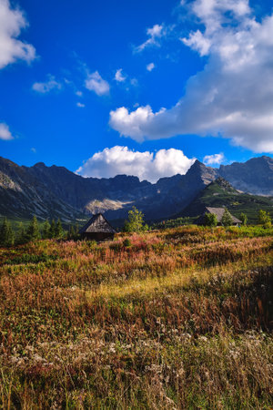 Beautiful mountain summer landscape. The famous Polish valley of Gasienicowa in the Tatra Mountains.の写真素材