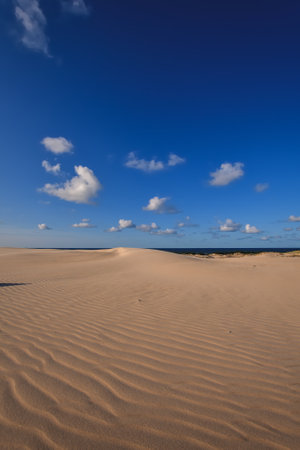 Beautiful holiday seaside landscape. Moving dunes in the desert in Slowinski National Park in Leba, Poland.の写真素材