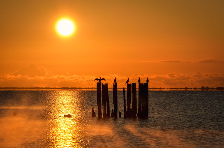 Beautiful evening seaside view. Wooden boles at the Polish seaside with the evening sun in the background.の写真素材