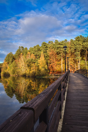 Autumn scene by the water. Colorful trees reflecting in a beautiful pond.の写真素材