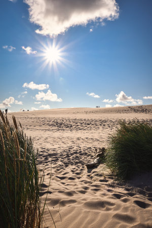 Beautiful holiday seaside landscape. Moving dunes in the desert in Slowinski National Park in Leba, Poland.の写真素材
