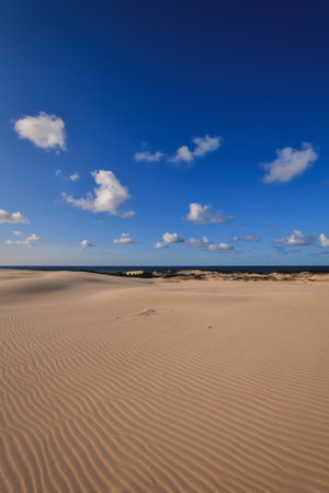 Beautiful holiday seaside landscape. Moving dunes in the desert in Slowinski National Park in Leba, Poland.の写真素材