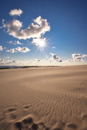 Beautiful holiday seaside landscape. Moving dunes in the desert in Slowinski National Park in Leba, Poland.の写真素材