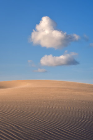 Beautiful holiday seaside landscape. Moving dunes in the desert in Slowinski National Park in Leba, Poland.の写真素材