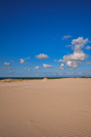 Beautiful holiday seaside landscape. Moving dunes in the desert in Slowinski National Park in Leba, Poland.の写真素材