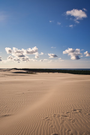 Beautiful holiday seaside landscape. Moving dunes in the desert in Slowinski National Park in Leba, Poland.の写真素材