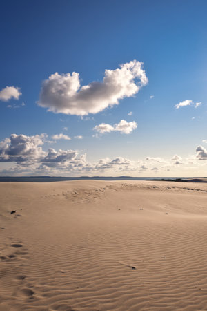 Beautiful holiday seaside landscape. Moving dunes in the desert in Slowinski National Park in Leba, Poland.の写真素材
