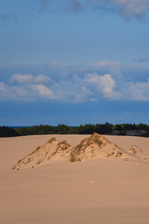 Beautiful holiday seaside landscape. Moving dunes in the desert in Slowinski National Park in Leba, Poland.の写真素材
