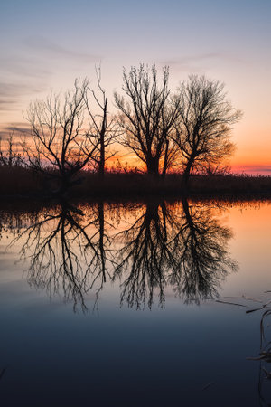 Beautiful summer evening landscape. Dry tree and grass reflecting in the river. Photo taken in Pinczow, Poland.の写真素材