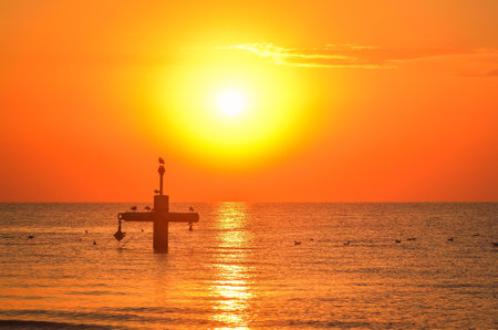 Summer morning seaside landscape. Sun and birds over the Baltic Sea. Photo taken on the beach in Gdynia, Poland.の写真素材