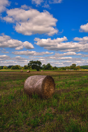 Beautiful summer rural landscape. Hay in a field with a blue sky in the background.の写真素材