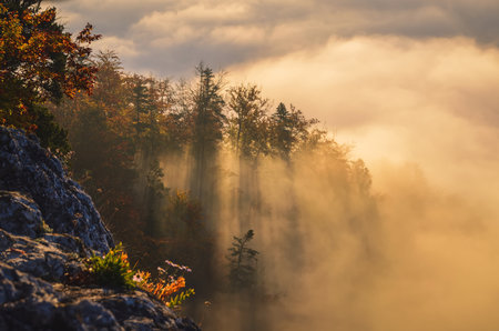 Fabulous colorful autumn landscape. Magical morning in Polish mountains. Photo taken on top of Sokolica in Pieniny, Poland.の写真素材