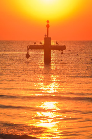Summer morning seaside landscape. Sun and birds over the Baltic Sea. Photo taken on the beach in Gdynia, Poland.の写真素材