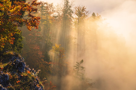 Fabulous colorful autumn landscape. Magical morning in Polish mountains. Photo taken on top of Sokolica in Pieniny, Poland.の写真素材