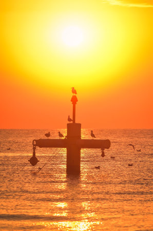 Summer morning seaside landscape. Sun and birds over the Baltic Sea. Photo taken on the beach in Gdynia, Poland.の写真素材