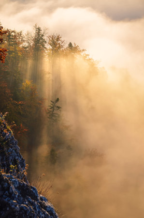 Fabulous colorful autumn landscape. Magical morning in Polish mountains. Photo taken on top of Sokolica in Pieniny, Poland.の写真素材