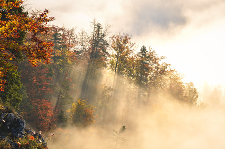 Fabulous colorful autumn landscape. Magical morning in Polish mountains. Photo taken on top of Sokolica in Pieniny, Poland.の写真素材