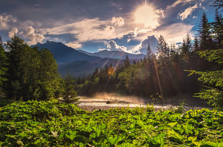 Beautiful river in the valley between the mountains. Summer trekking in the White Water's Valley in the Slovak Tatra Mountains.の写真素材