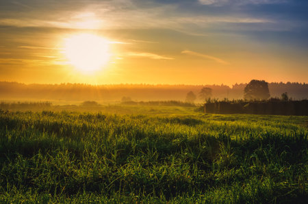 Summer morning with a rural view. Sunrise with green grass and sheaves of hay in the countryside. Photo taken in Tychy, Poland.の写真素材