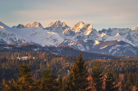 Charming panorama of the Polish Tatra Mountains in the morning. View of the High Tatras from the village of Lapszanka, Poland.の写真素材