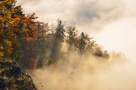 Fabulous colorful autumn landscape. Magical morning in Polish mountains. Photo taken on top of Sokolica in Pieniny, Poland.の写真素材