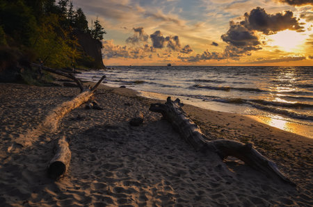 Beautiful dreamlike morning on the Baltic Sea in Gdynia, Poland. Tree branches on a sandy beach at sunrise.の写真素材