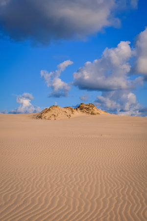 Beautiful holiday seaside landscape. Moving dunes in the desert in Slowinski National Park in Leba, Poland.の写真素材
